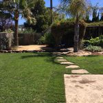 Lawn and stone path